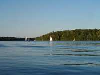  033-boyscout_sailboats.jpg 