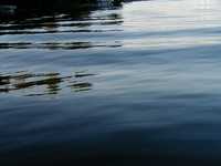  034-relflections.jpg 