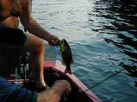 044-nice_bass.jpg 