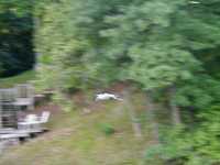  053-heron_taking_off.jpg 