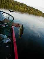  054-nice_bass.jpg 