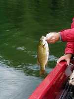  097-same_nice_bass.jpg 