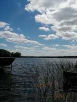  120-reeds.jpg 