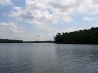  IMG_1615.JPG 