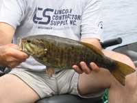  IMG_1624.JPG 