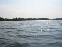  IMG_1628.JPG 