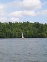  IMG_1667.JPG 