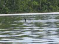  IMG_1706.JPG 
