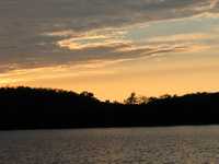  IMG_1729.JPG 