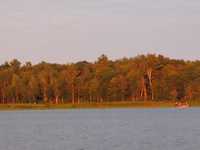  IMG_1730.JPG 