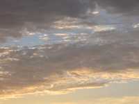  IMG_1733.JPG 
