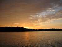  IMG_1734.JPG 