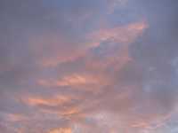  IMG_1741.JPG 