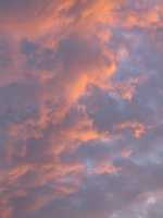  IMG_1749.JPG 