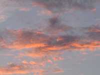  IMG_1752.JPG 