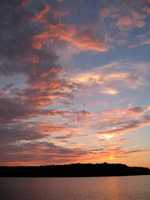  IMG_1755.JPG 