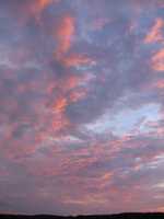 IMG_1756.JPG 