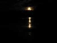  IMG_1763.JPG 