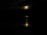  IMG_1764.JPG 