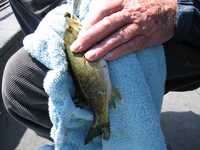  IMG_1775.JPG 
