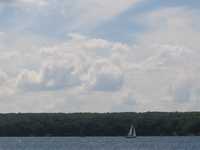  IMG_1782.JPG 