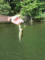  IMG_1785.JPG 