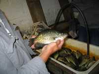  IMG_1823.JPG 