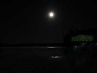  IMG_1849.JPG 