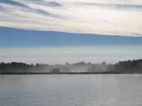  IMG_1895.JPG 