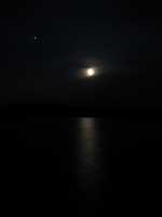  IMG_2850.JPG 