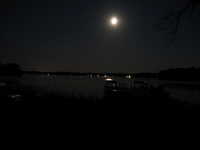  IMG_2870.JPG 