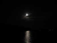  IMG_2883.JPG 