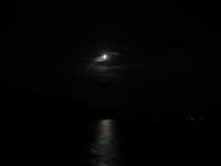  IMG_2884.JPG 