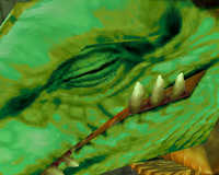  WoWScrnShot_072107_032251.jpg 