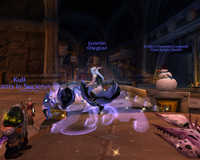 WoWScrnShot_082307_032056.jpg 