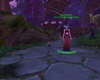  WoWScrnShot_030206_030834.jpg 
