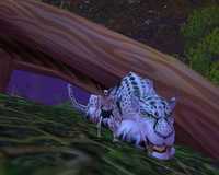  WoWScrnShot_030206_031006.jpg 