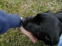  P1010003.JPG 