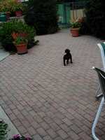  P1010027.JPG 