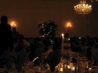  IMG_1934.JPG 