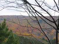  IMG_2023.JPG 
