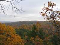  IMG_2026.JPG 