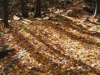  IMG_2079.JPG 