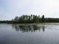  IMG_1094.JPG 
