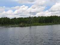  IMG_1106.JPG 