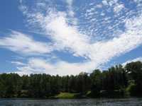 IMG_1114.JPG 