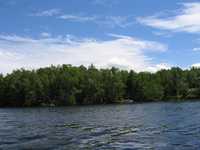  IMG_1115.JPG 