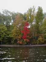  P1010067.JPG 