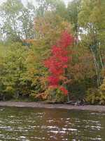  P1010068.JPG 