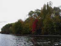  P1010069.JPG 